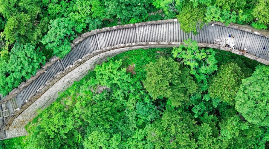 The Great Wall in a forest