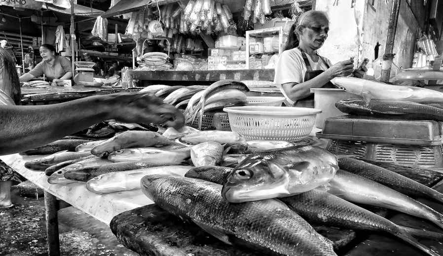 fresh fish market