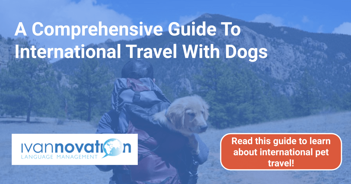 dogs travel international