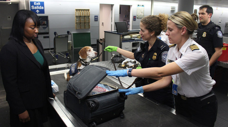 Woman at airport security getting her bag and dog checked