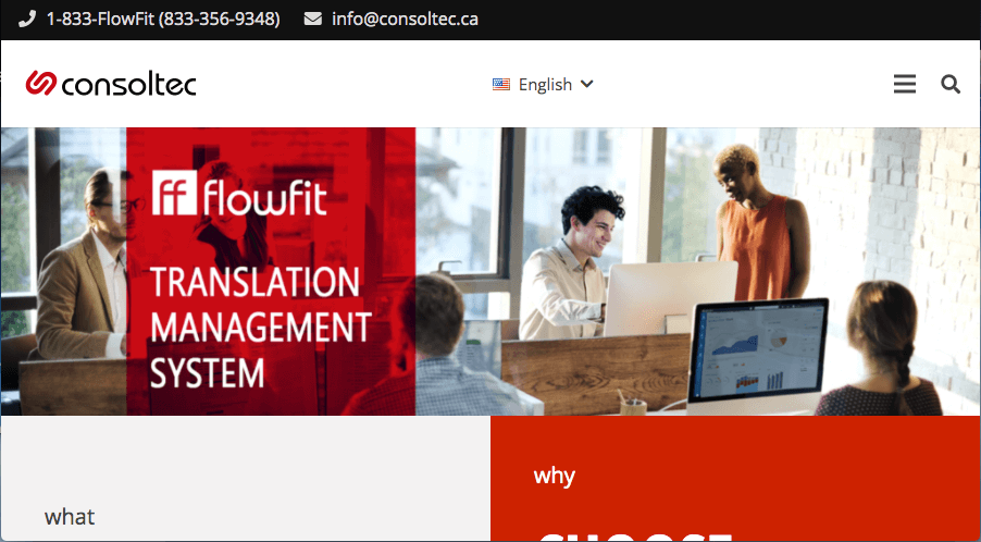 Consoltec translation management system